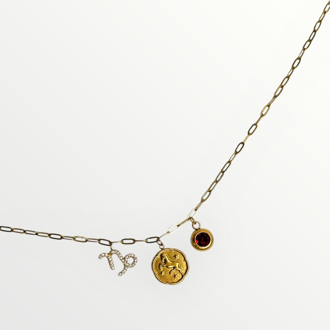 Zodiac charm necklace