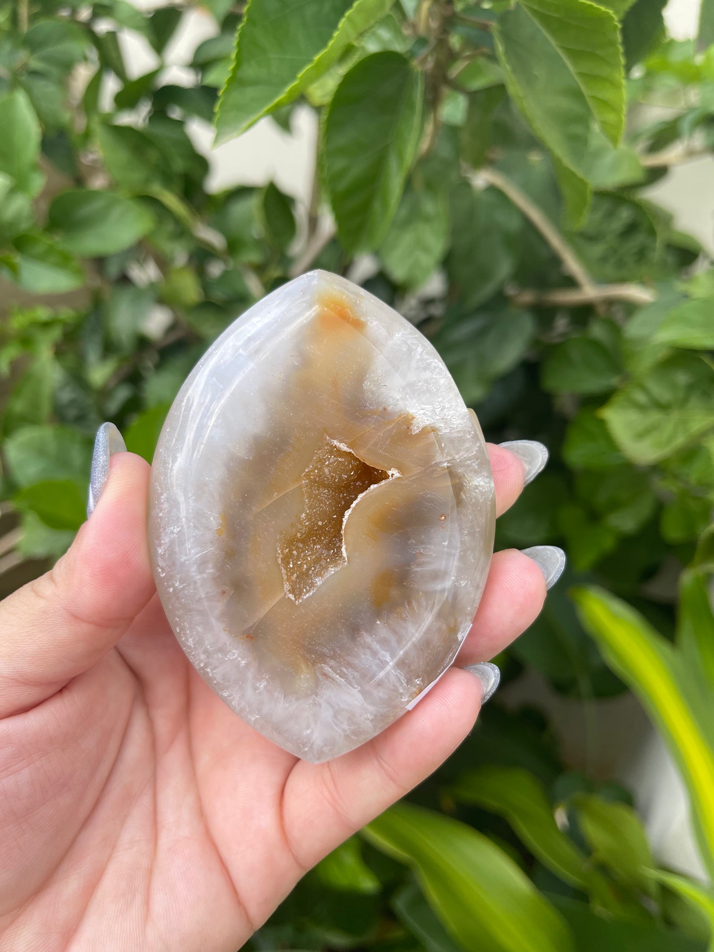Agate Marquise