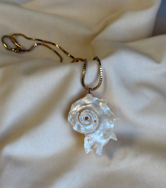 Golden Coast Necklace