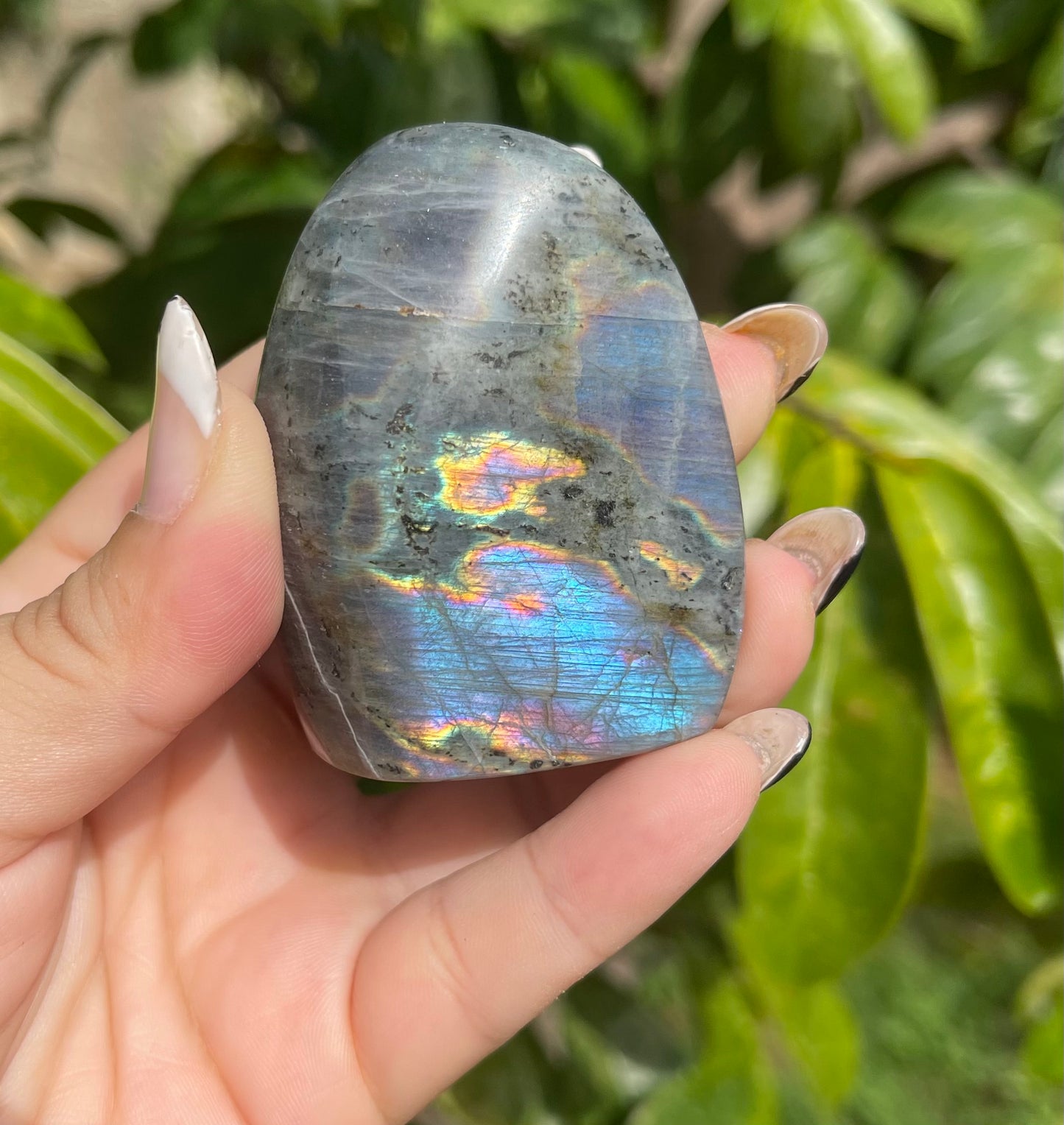 Labradorite Freeforms