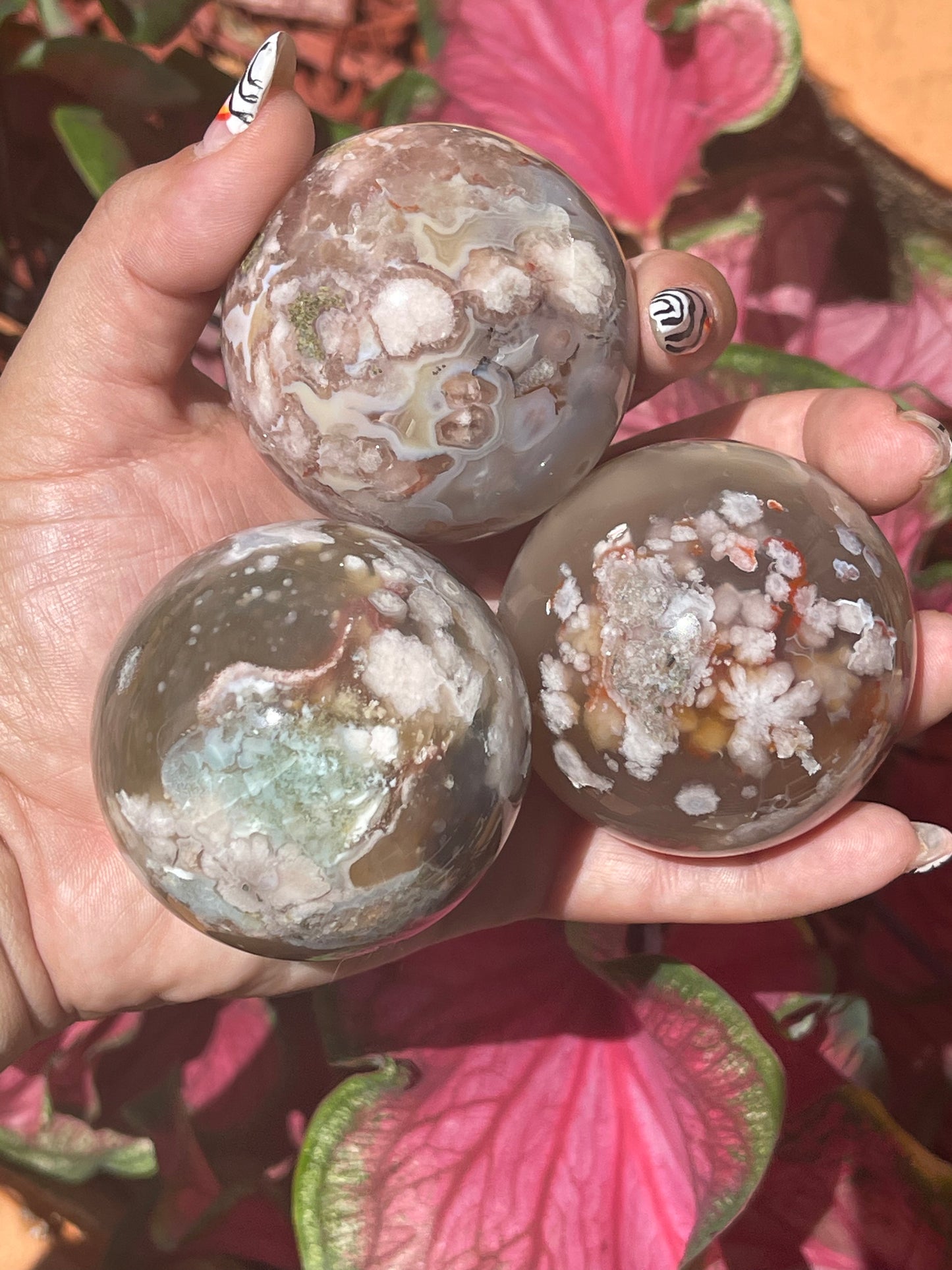 Flower Agate Spheres