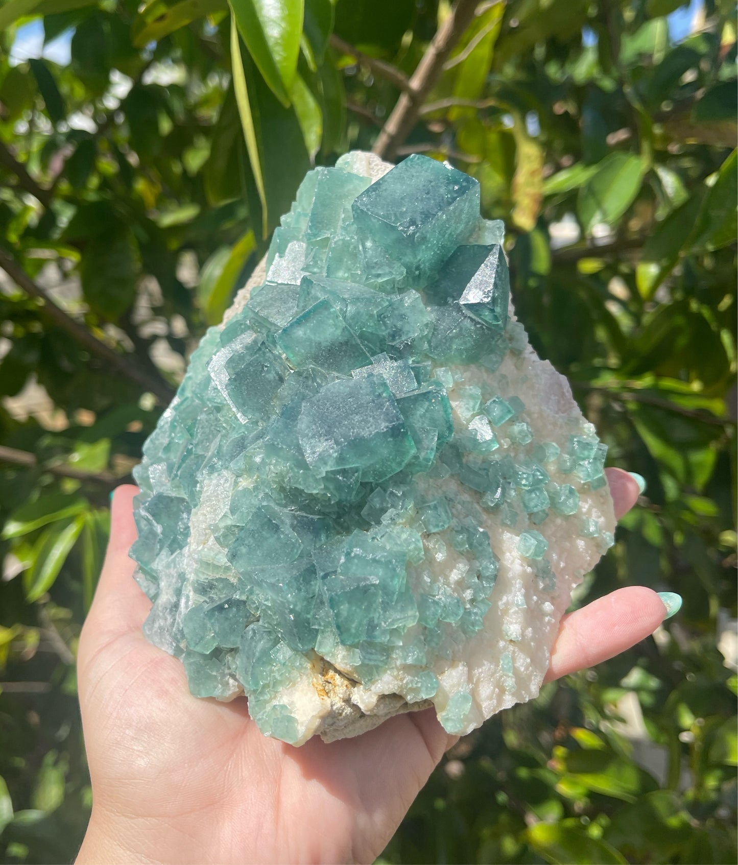 Madagascar Fluorite