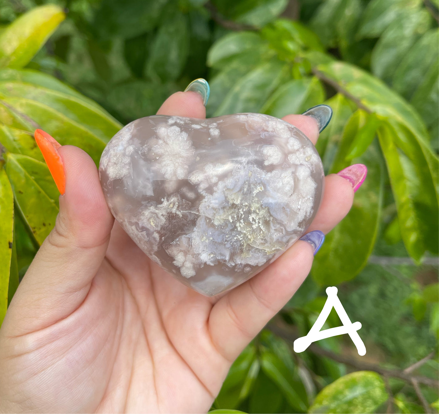 Flower Agate Heart