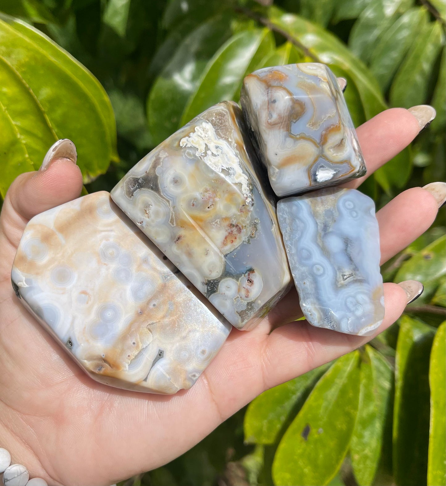 8th Vein Ocean Jasper Freeforms