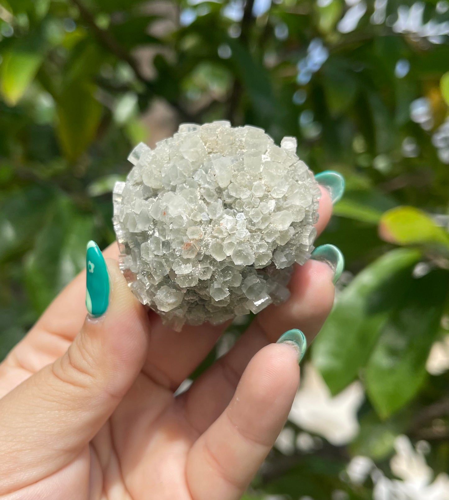 Moroccan Aragonite