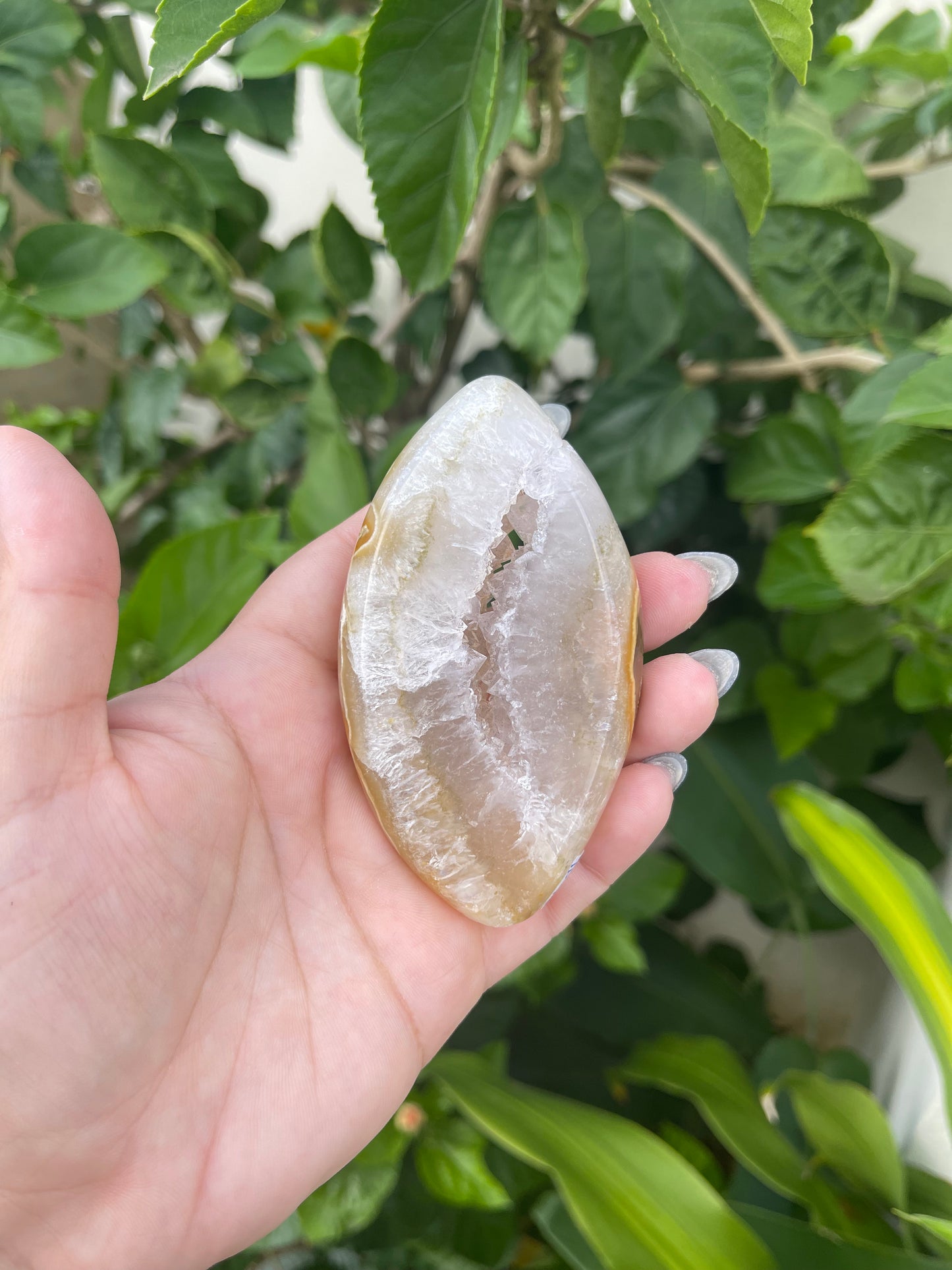 Agate Marquise