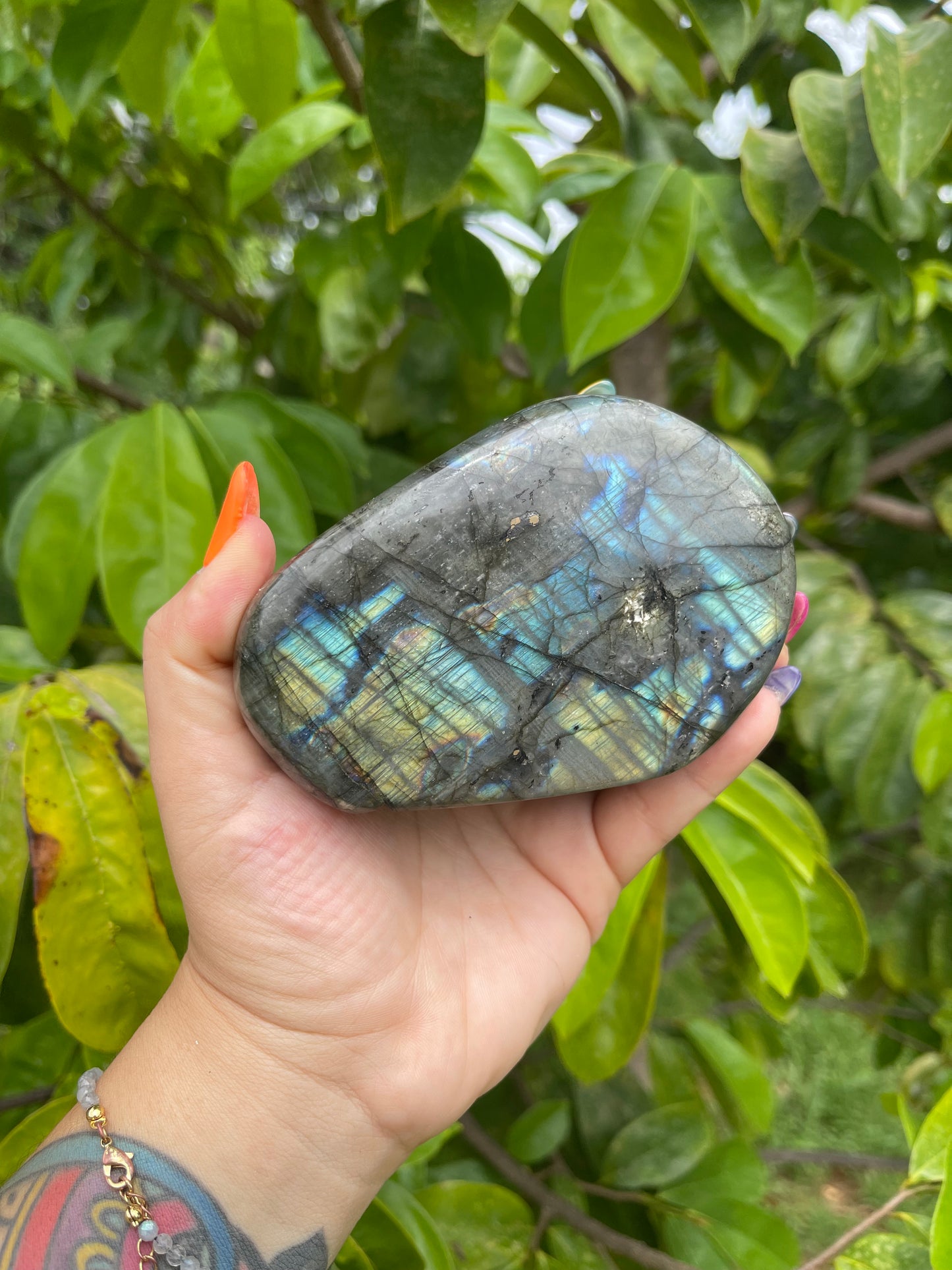 Labradorite Freeforms