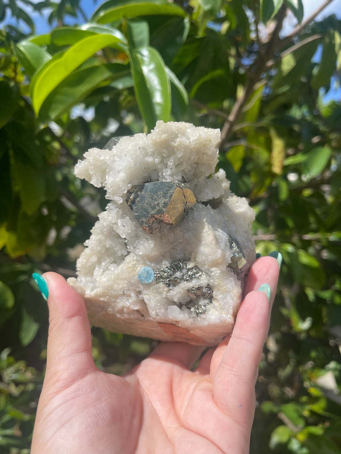 Pyrite on Quartz