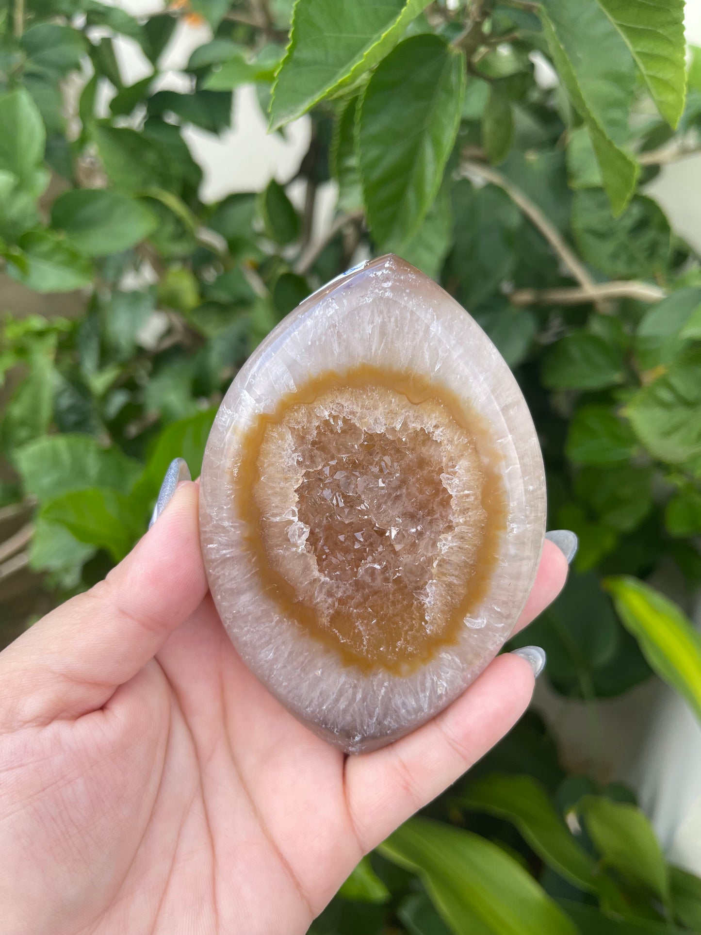 Agate Marquise