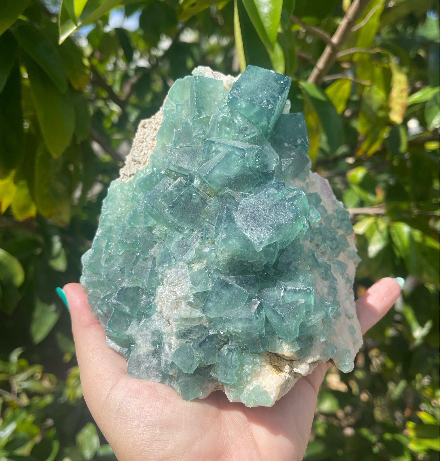 Madagascar Fluorite