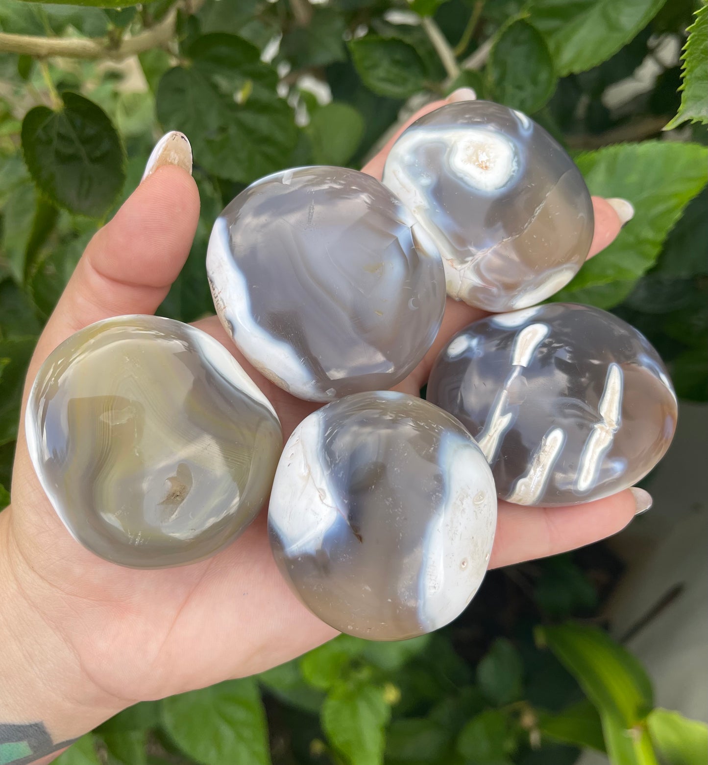 Orca Agate Palm Stones