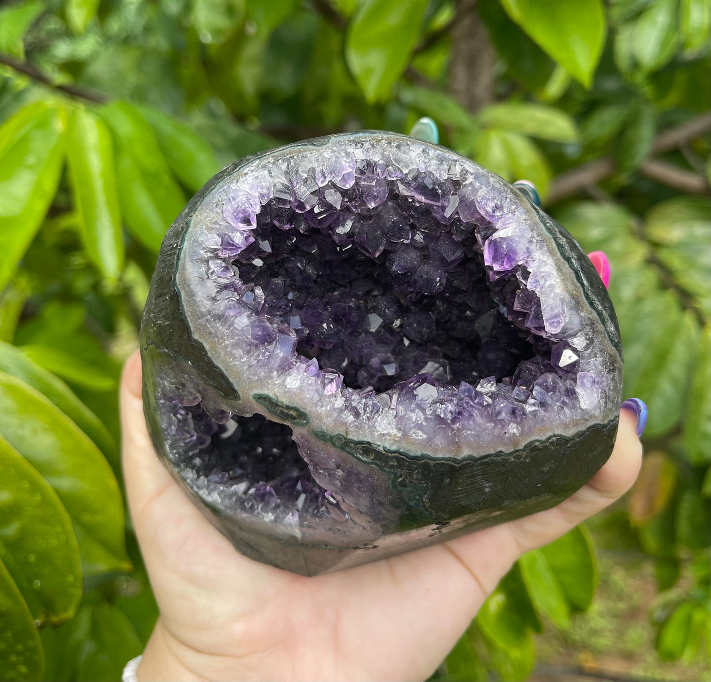 Amethyst Cut Base