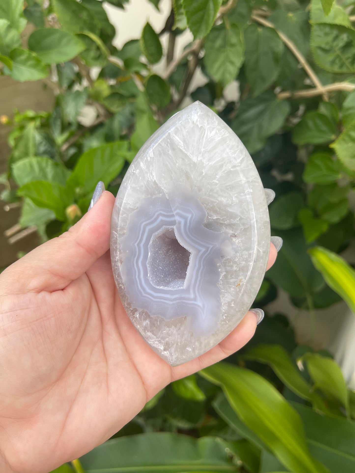 Agate Marquise