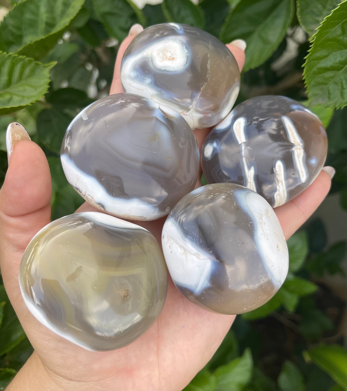 Orca Agate Palm Stones