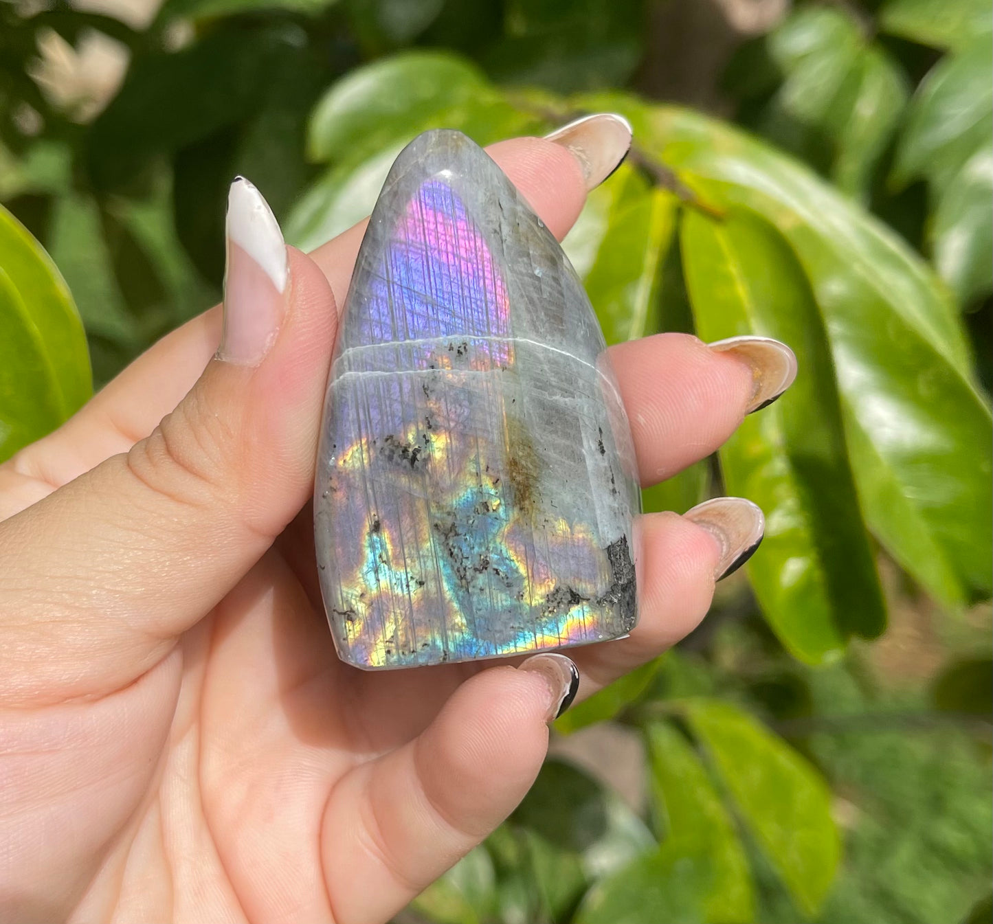 Labradorite Freeforms