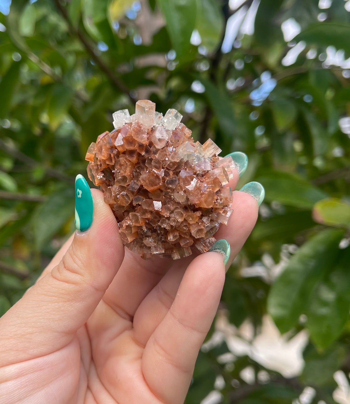 Moroccan Aragonite