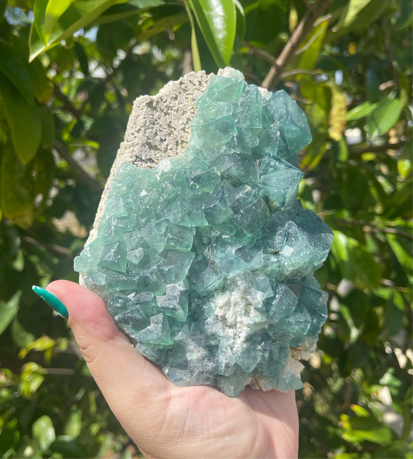 Madagascar Fluorite