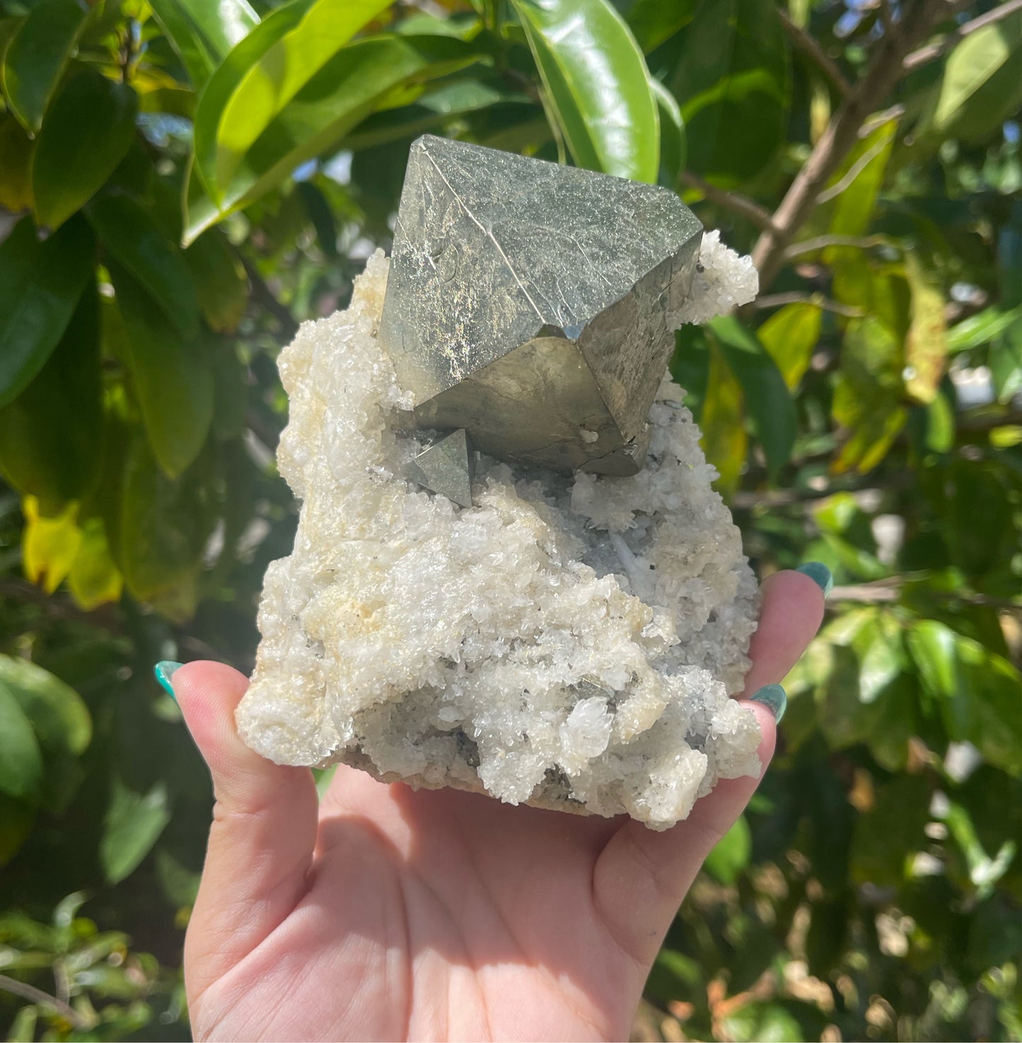 Pyrite on Quartz