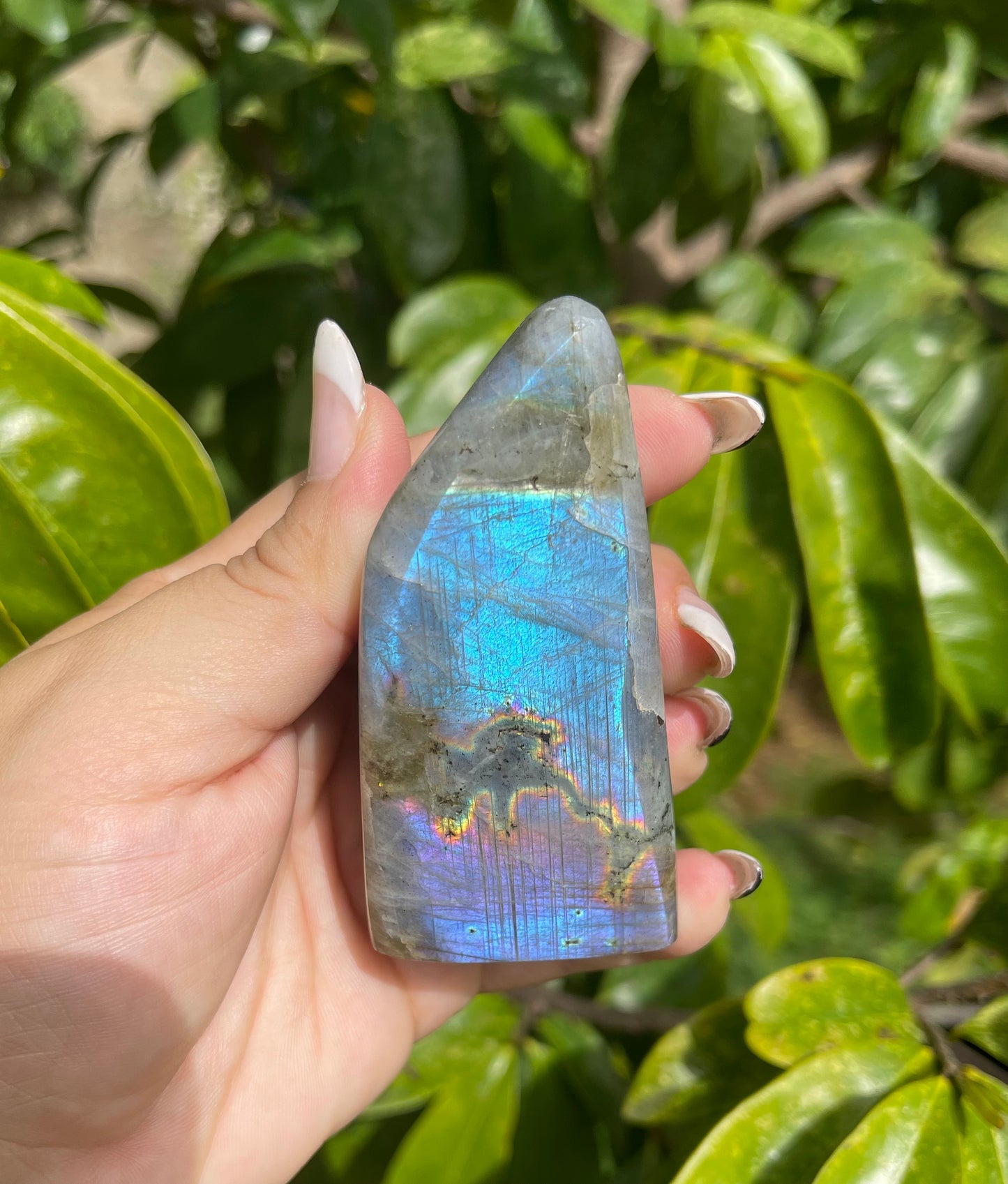 Labradorite Freeforms