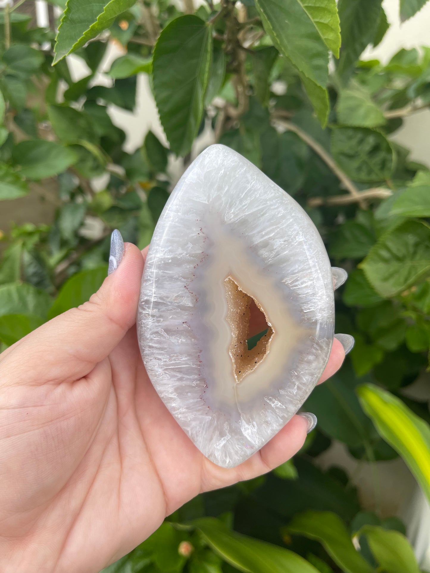 Agate Marquise