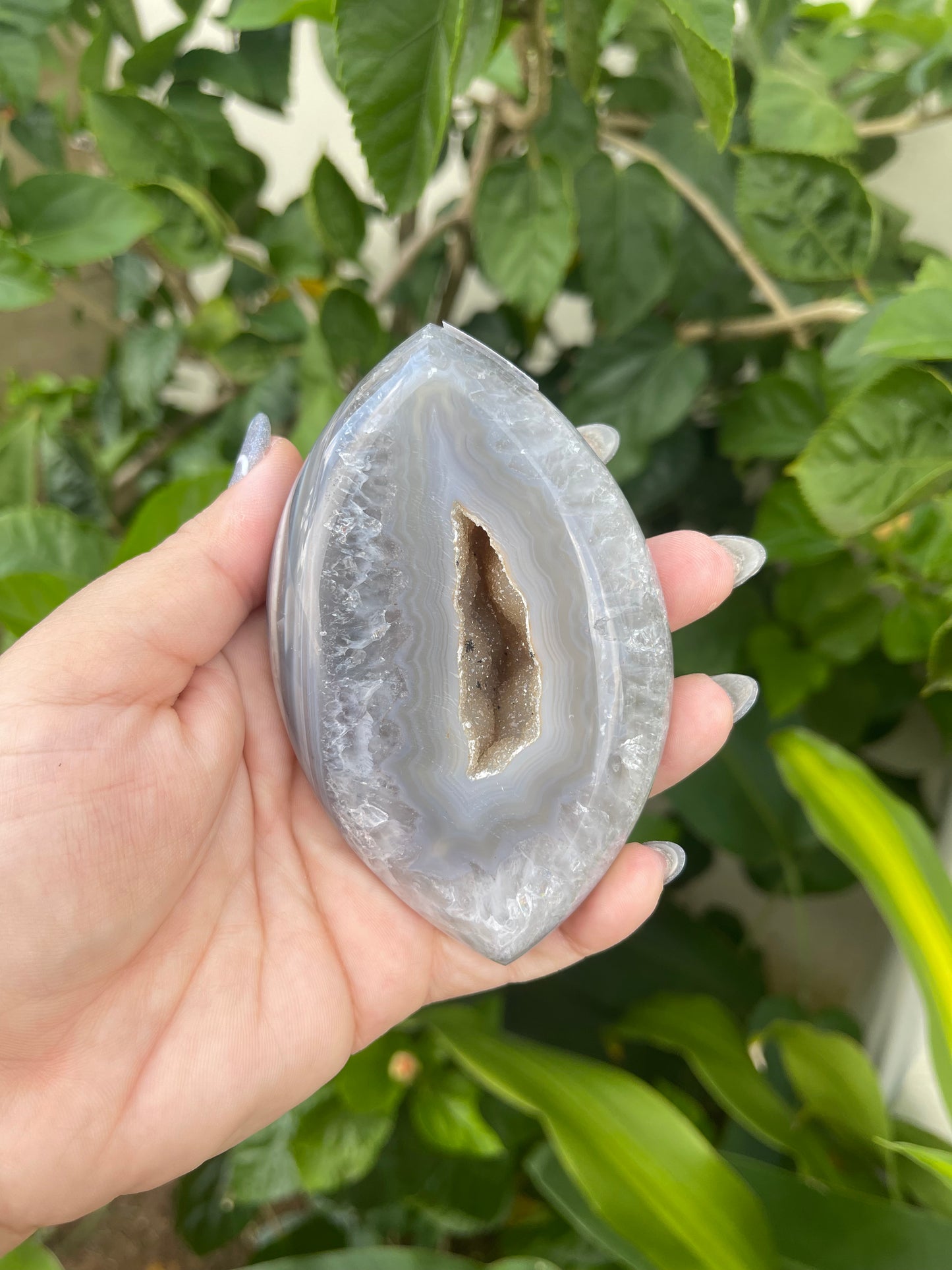 Agate Marquise