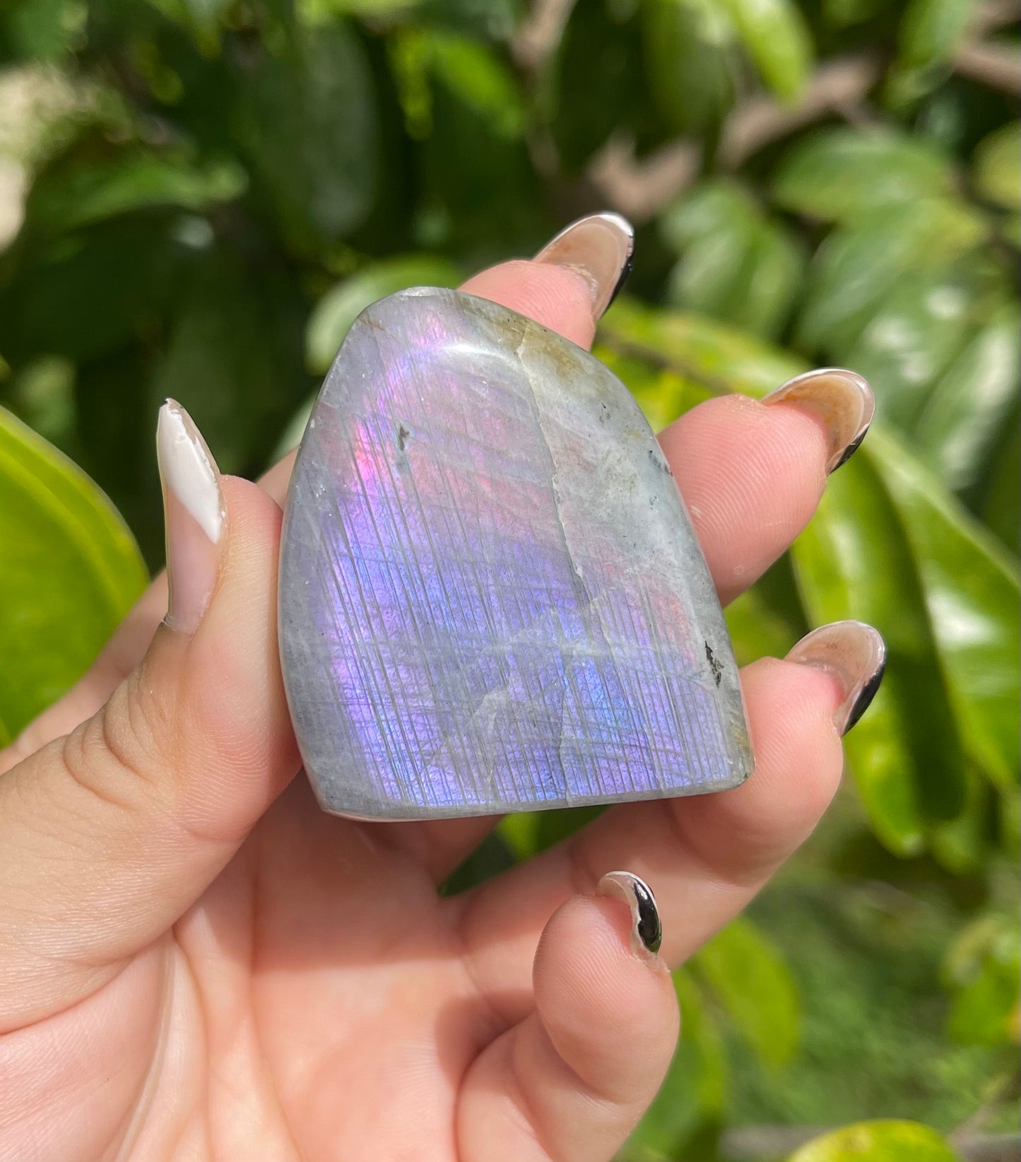 Labradorite Freeforms