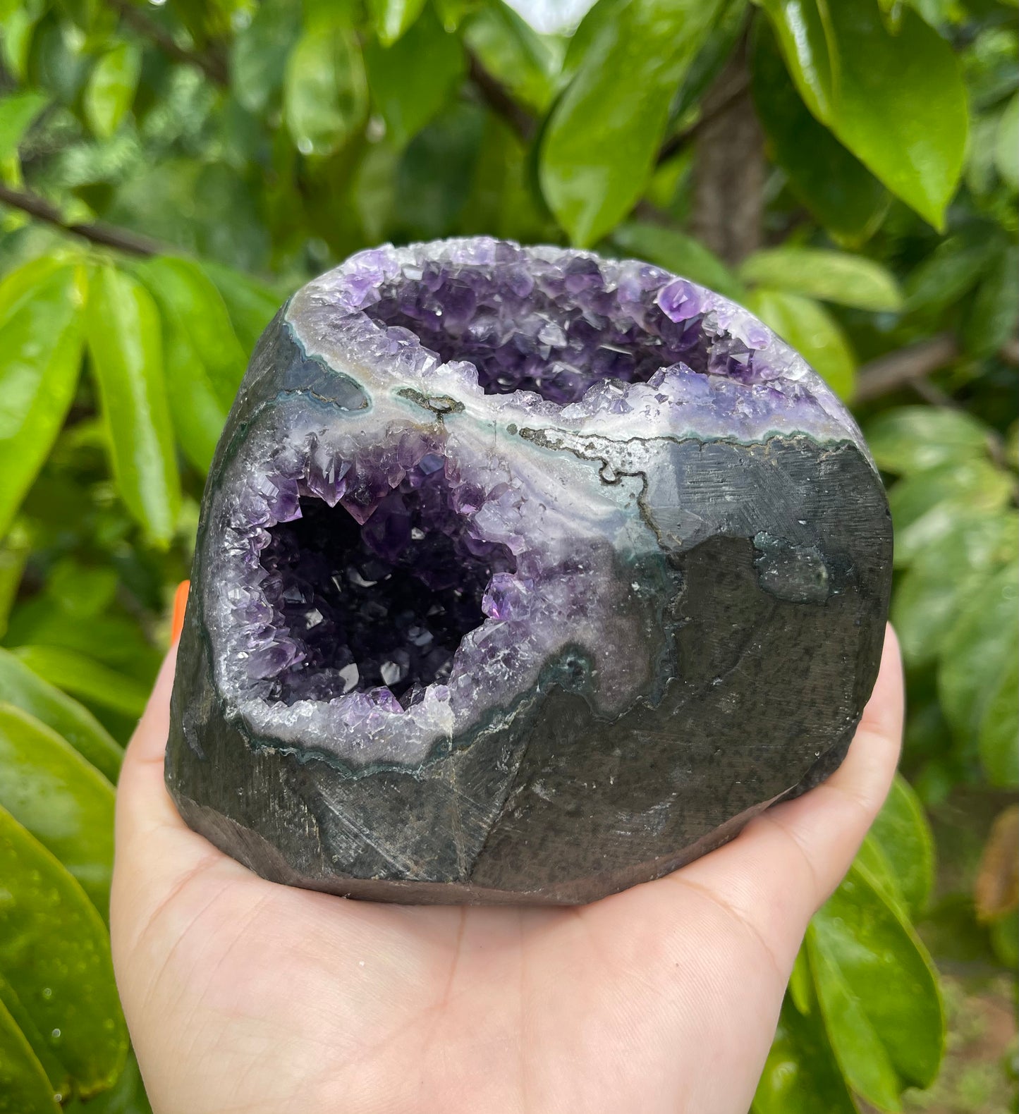 Amethyst Cut Base