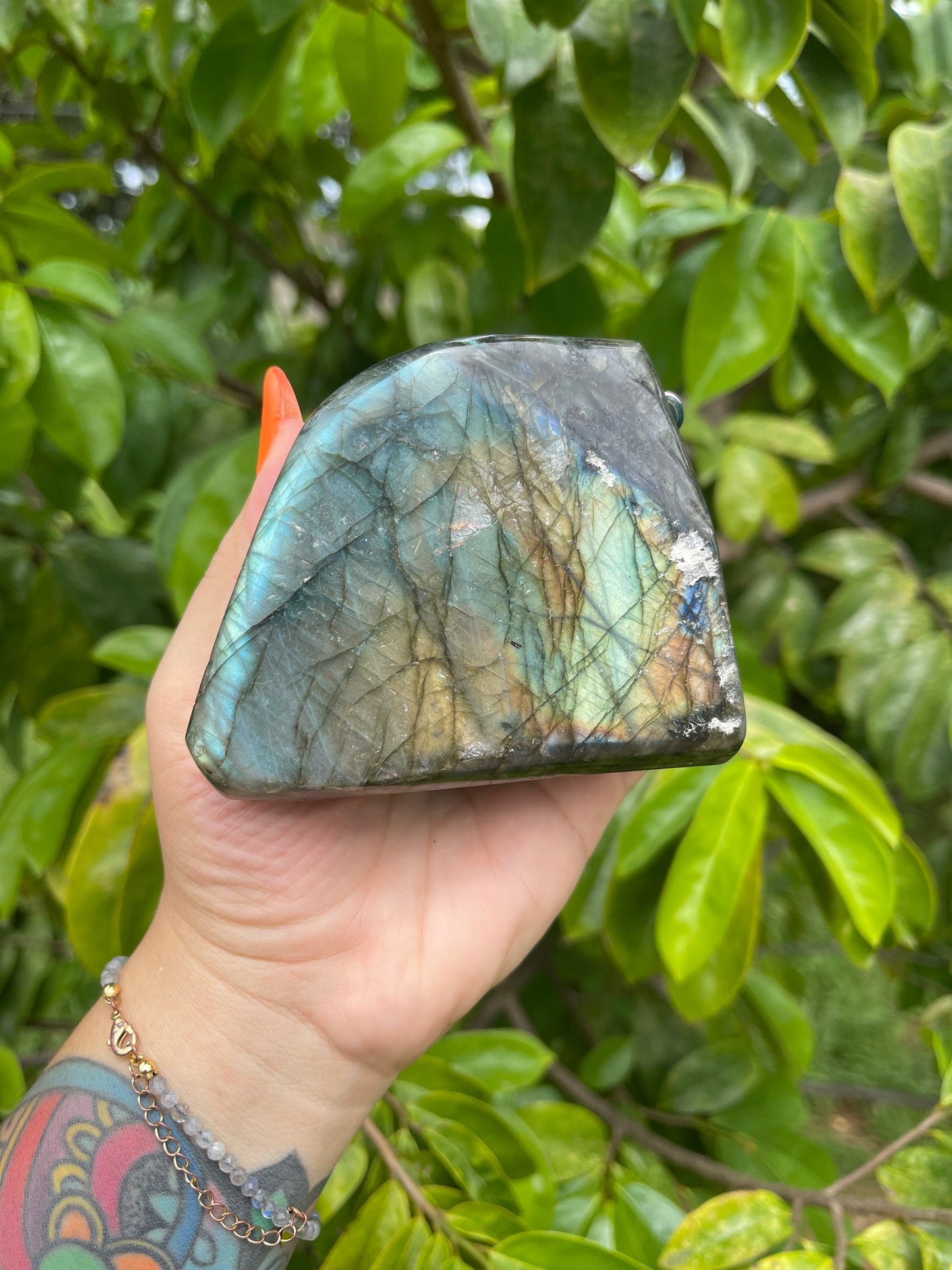 Labradorite Freeforms