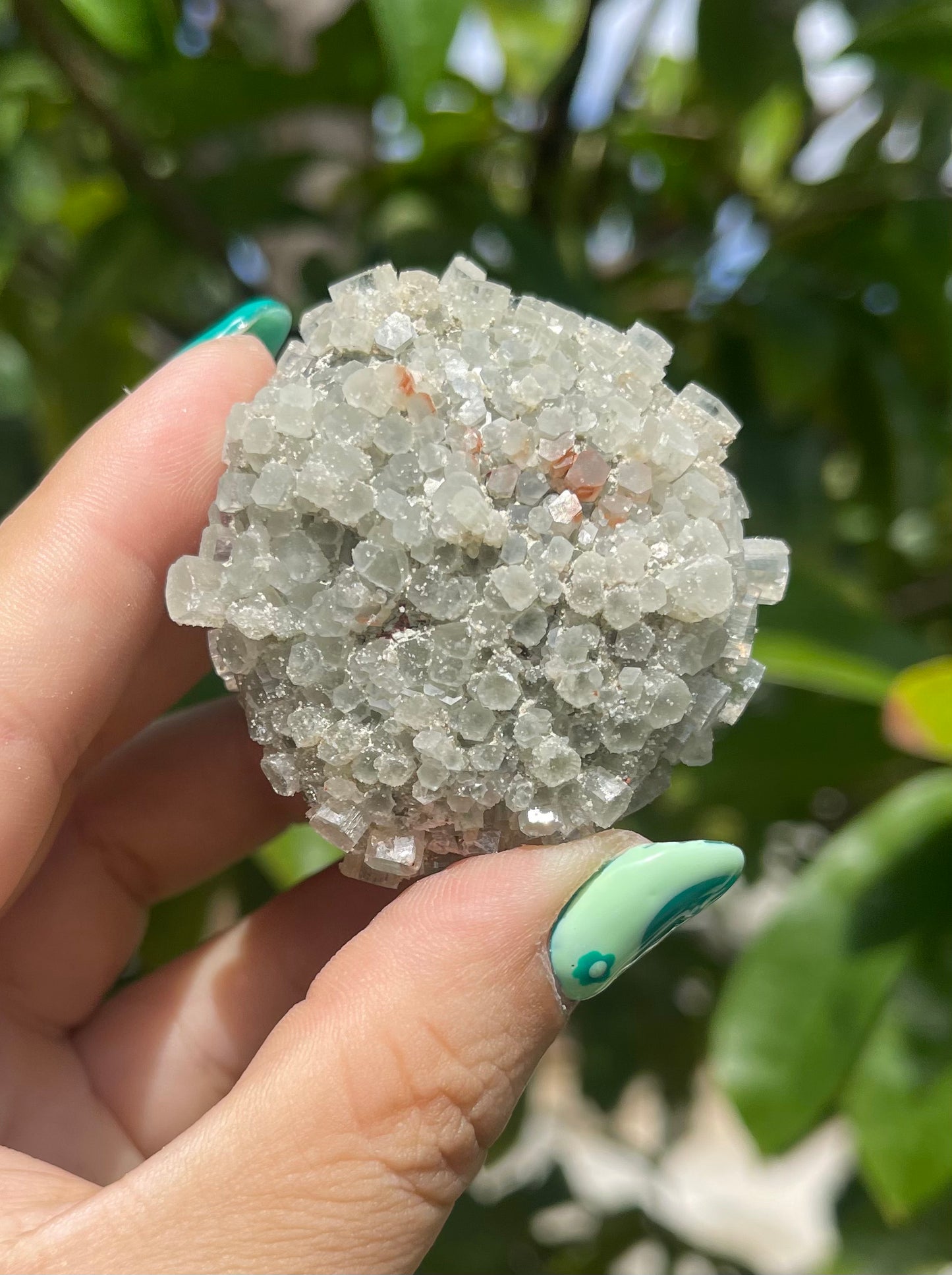 Moroccan Aragonite