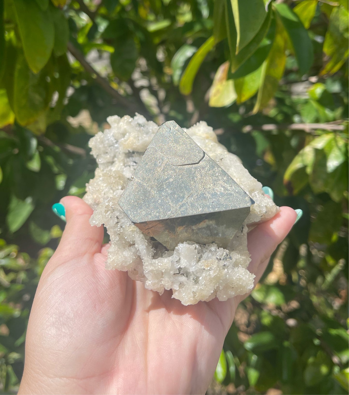 Pyrite on Quartz